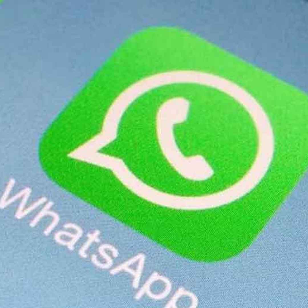 whatsapp  android  iphone  app