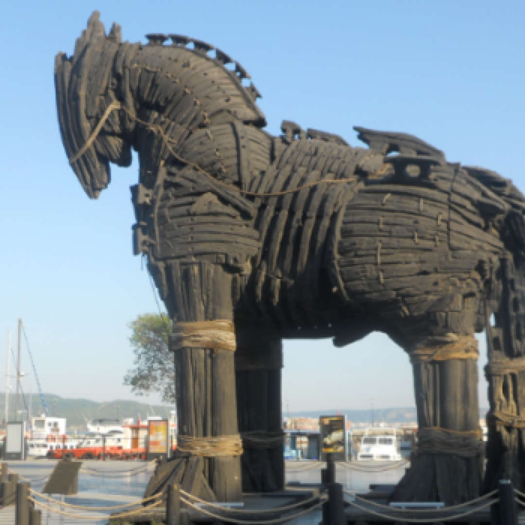 cavallo  troia  nave  cavallo di troia  trojan horse  trojan