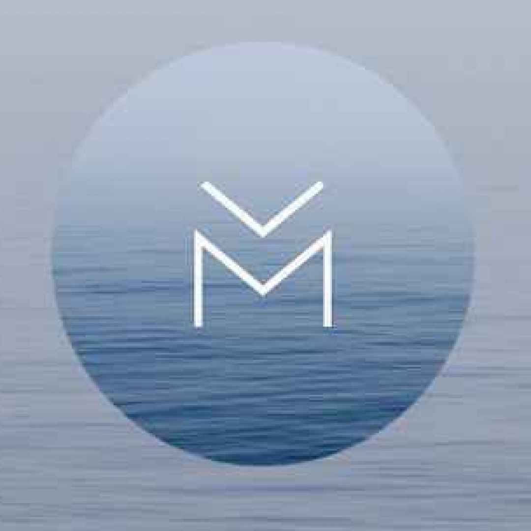 Maki - un client multi social da provare al volo su Android!!!