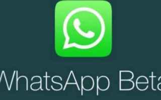 WhatsApp: rilasciati due aggiornamenti Beta pregni di novità