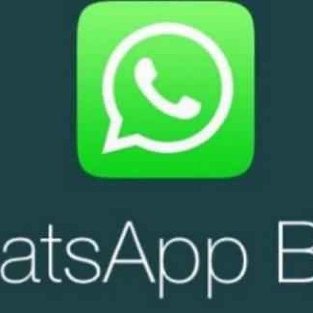 whatsapp  android  beta