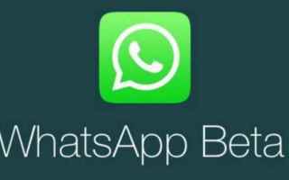 WhatsApp Beta: arriva la copia delle didascalie, e la funzione "raggiungi amico"