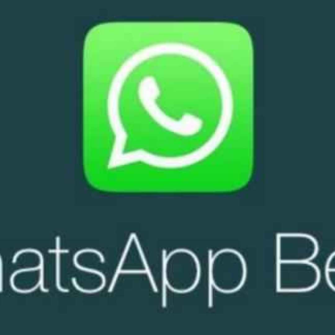 whatsapp  beta  aggiornamento