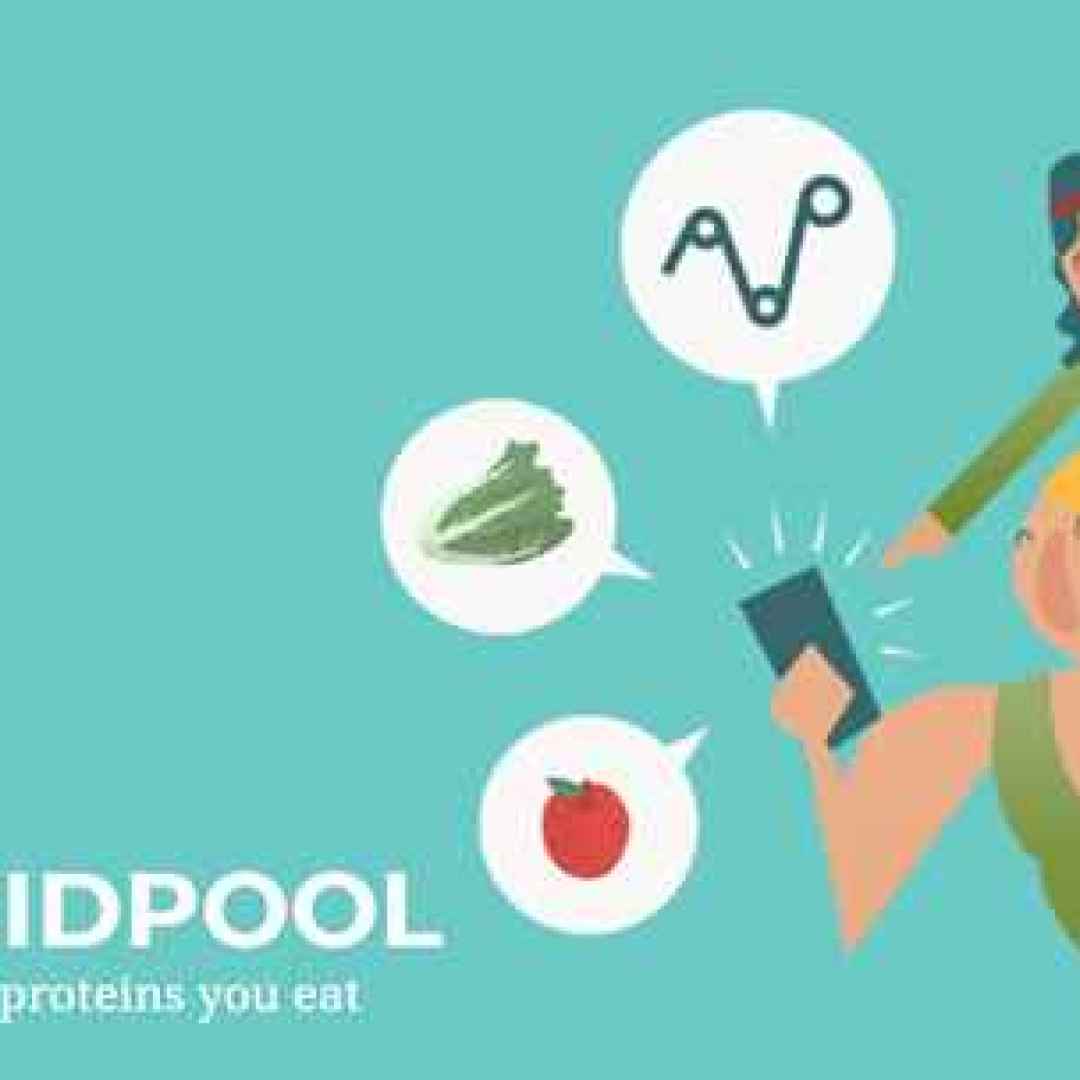 dieta salute proteine sport android
