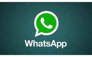 Tutti i messaggi cancellati di Whatsapp si recuperano
<br />Cancellare un messaggio, su una chat di 