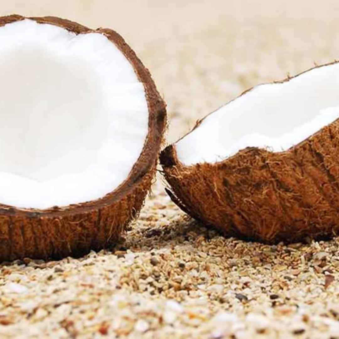 La Noce di Cocco - Proprietà,Calorie, Benefici