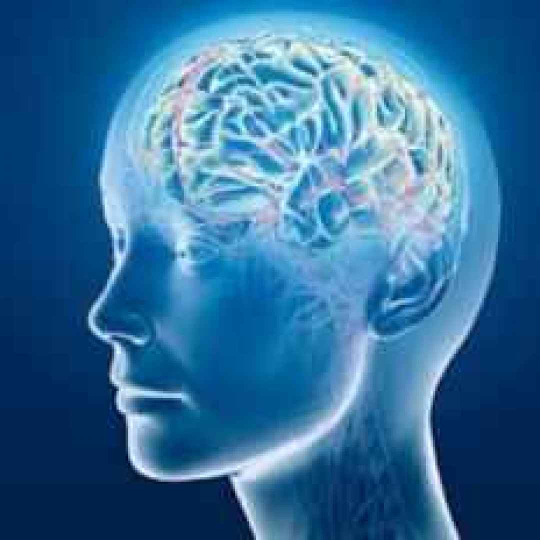 intelligenza  mente  cervello