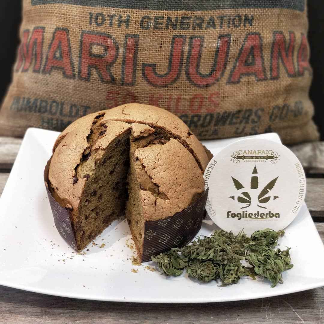 cannabis  panettone