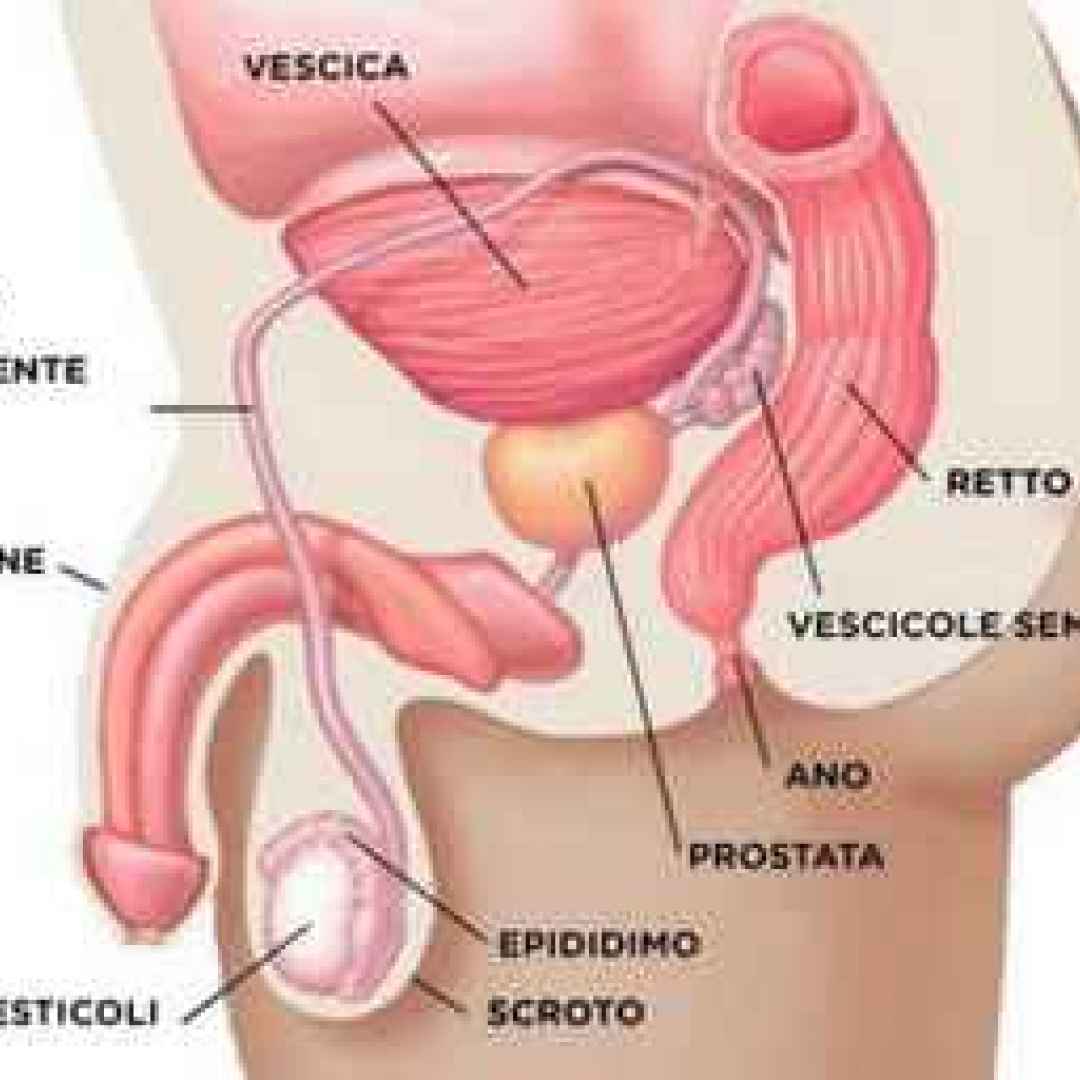 Prostata: sintomi urinari