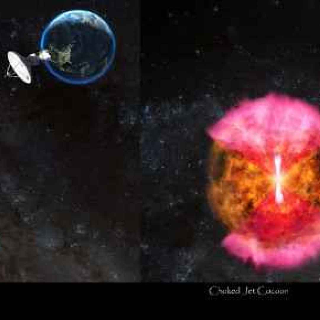 kilonova  stelle di neutroni  buchi neri