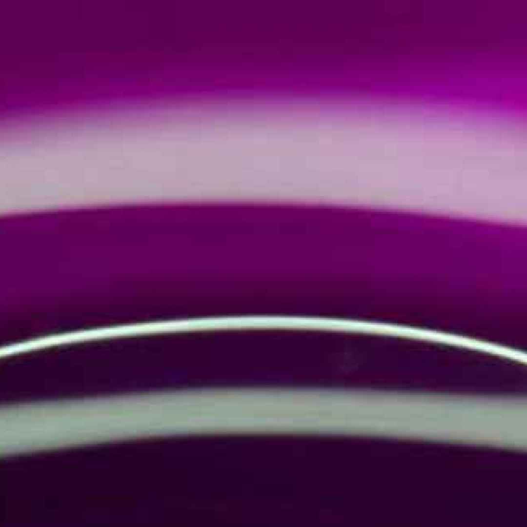 purple web design  nielsen  web design