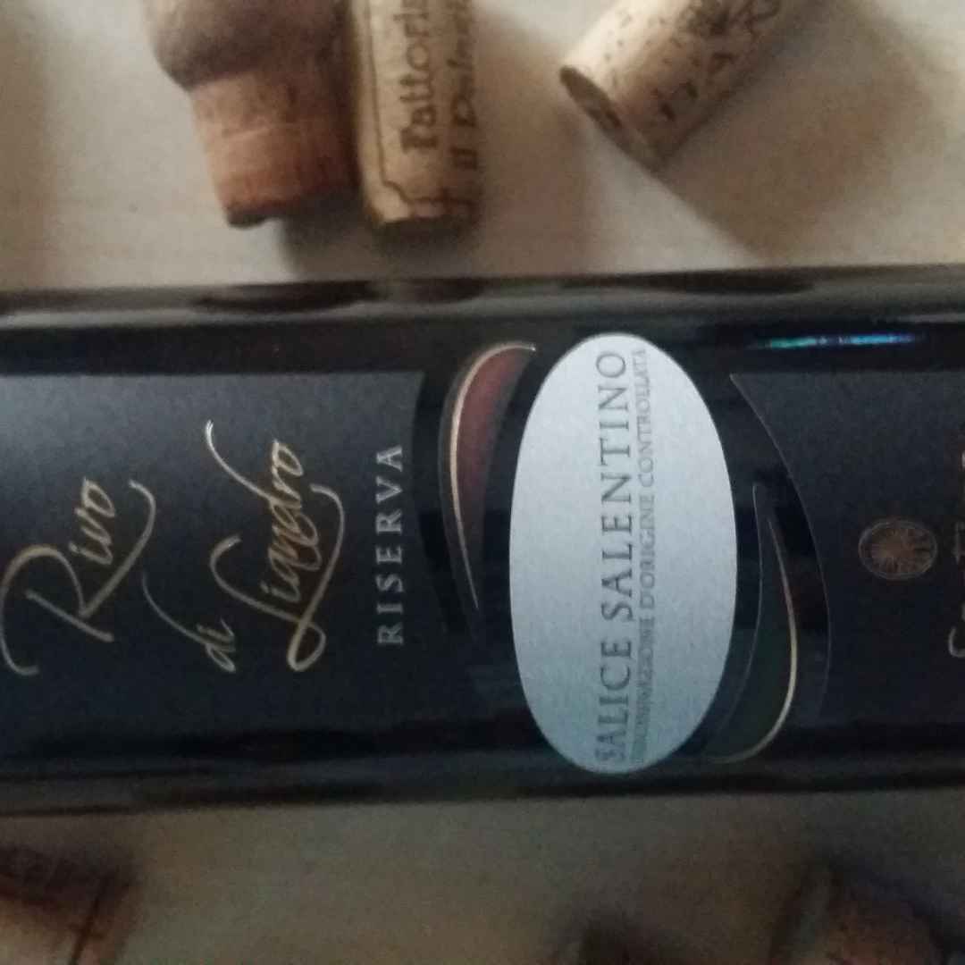 vino  winelovers  degustazione
