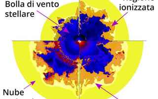 Astronomia: stelle di wolf-rayet