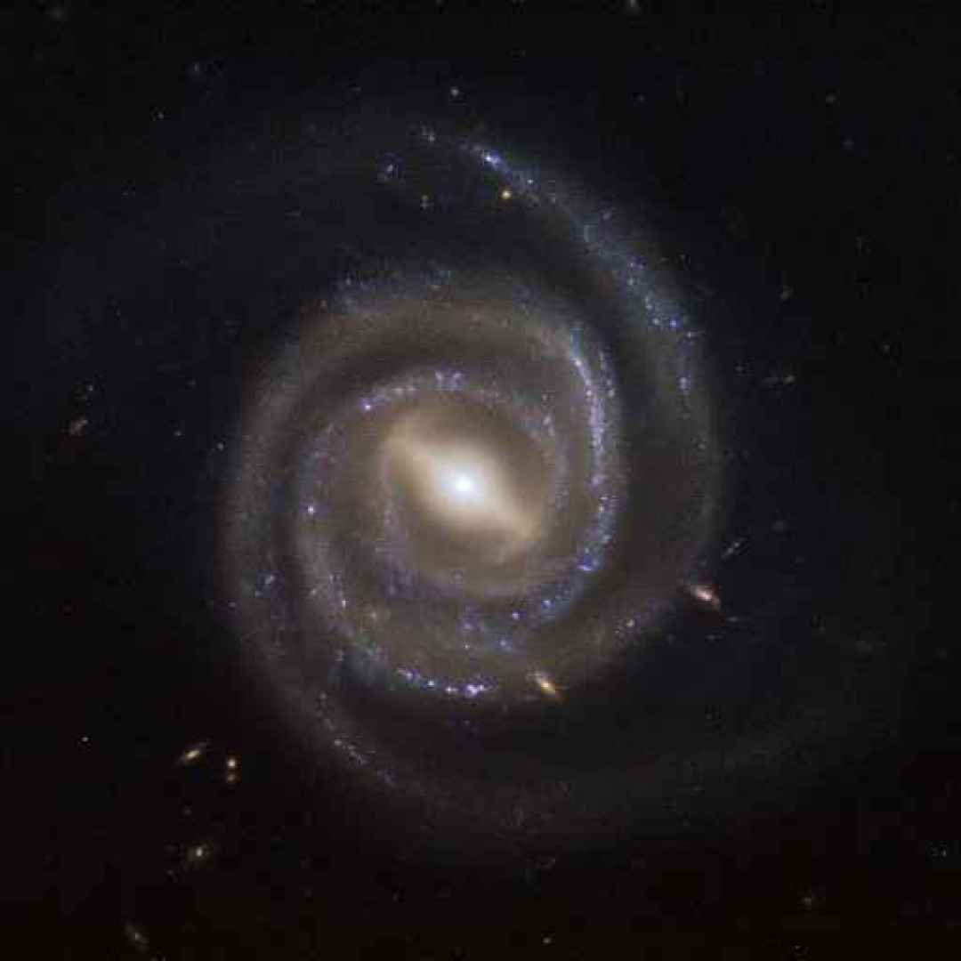 buchi neri supermassicci  galassie  mega
