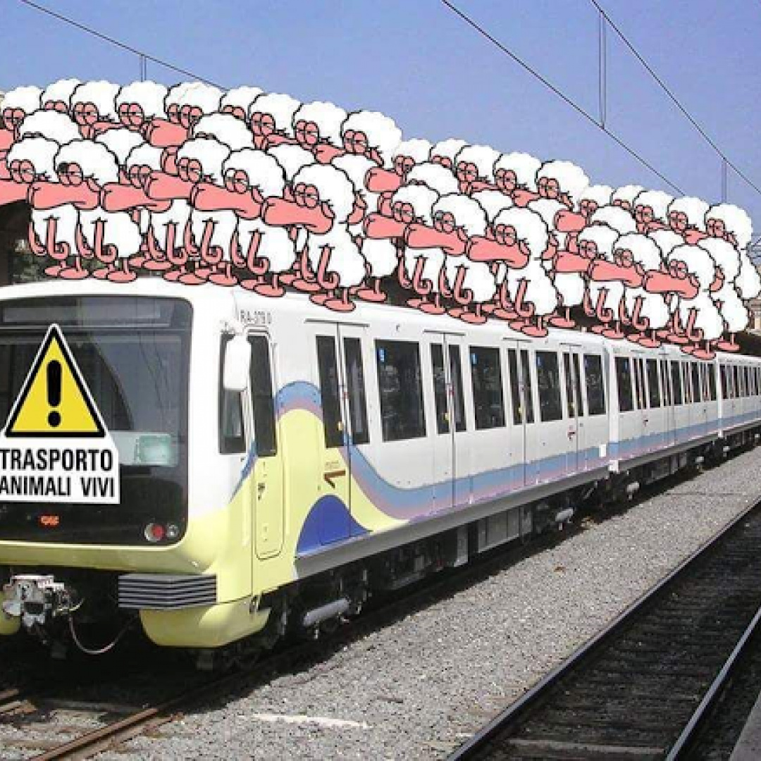 roma-lido; atac  trasporto pubblico