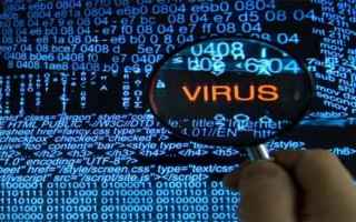malware  virus