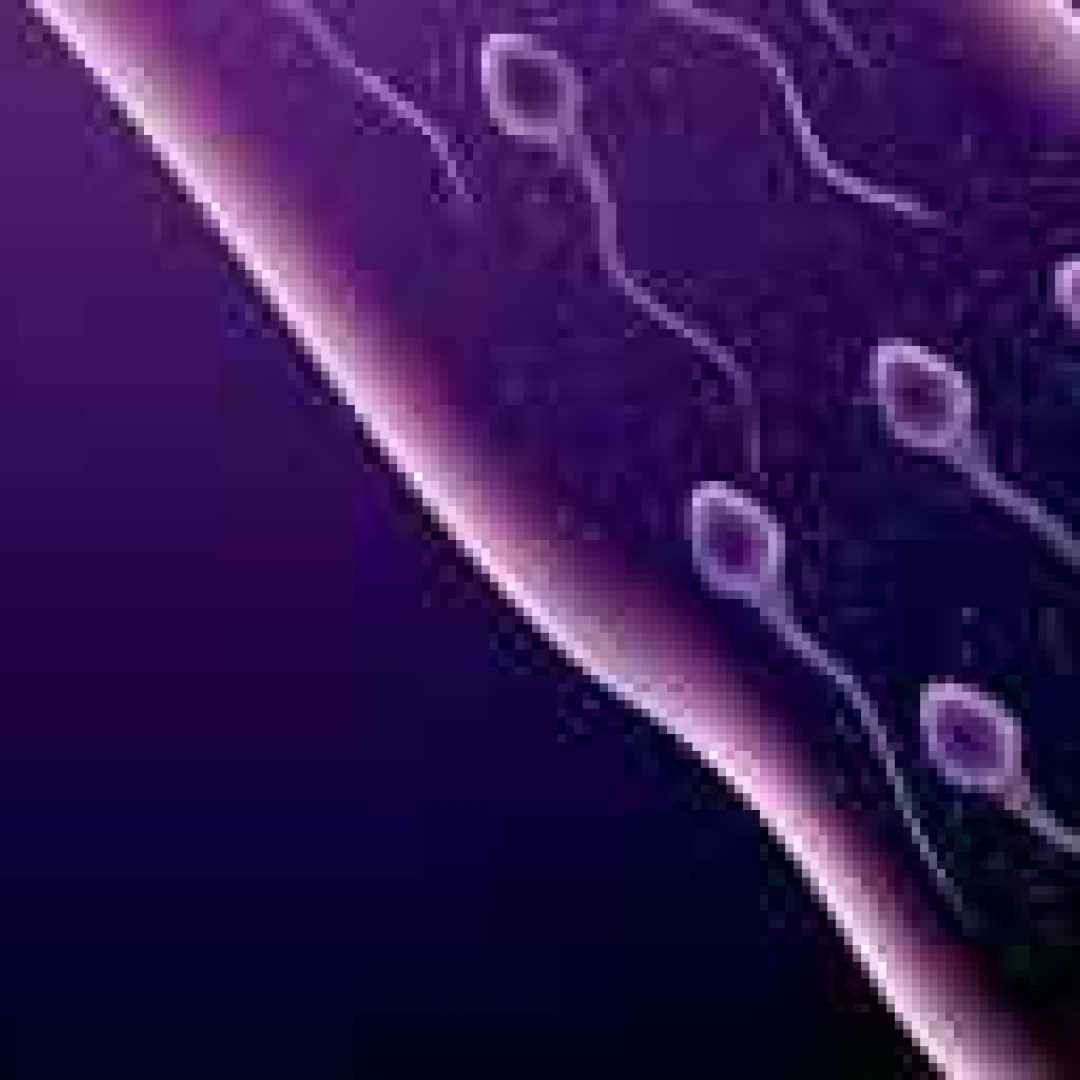 anticoncezionali  scienza  sesso