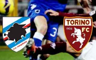Probabili formazioni Sampdoria-Torino: in campo oggi alle ore 18.00