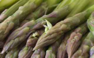 Medicina: cancro tumore asparagi asparagina studio