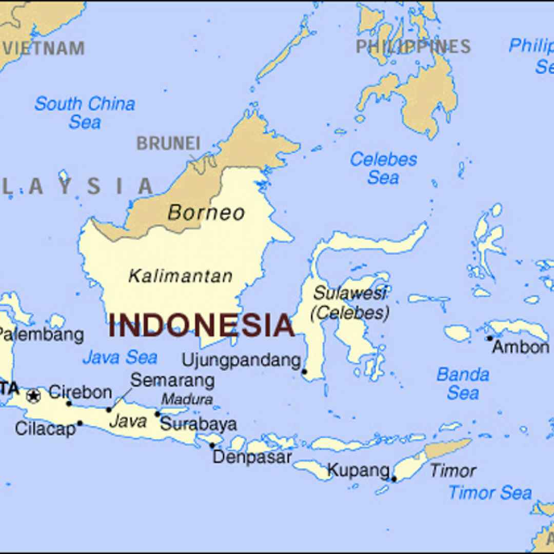 volontariato  visto  indonesia