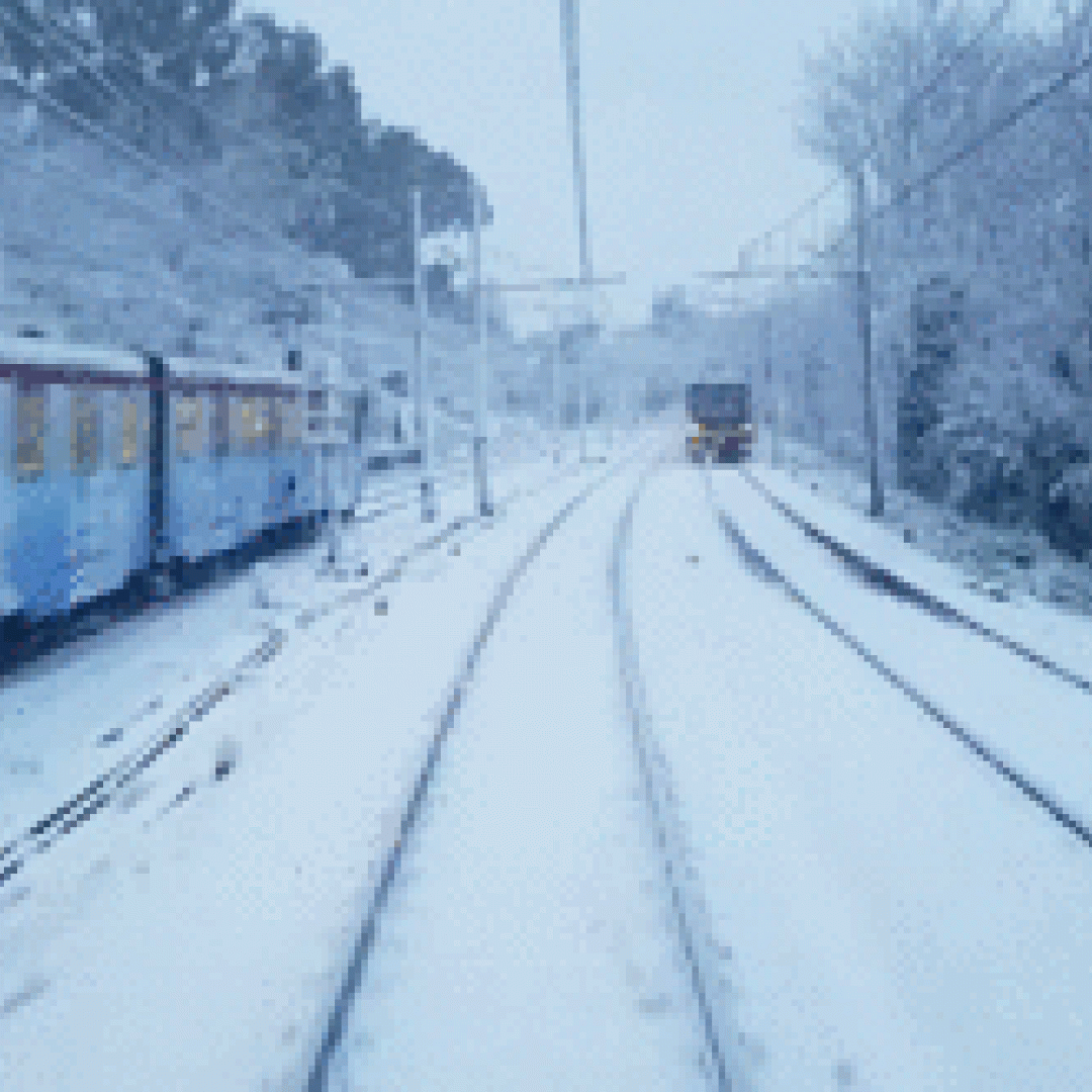 atac  roma  trasporto pubblico  neve