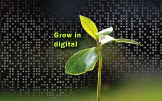 Google: crescere in digitale google tirocini