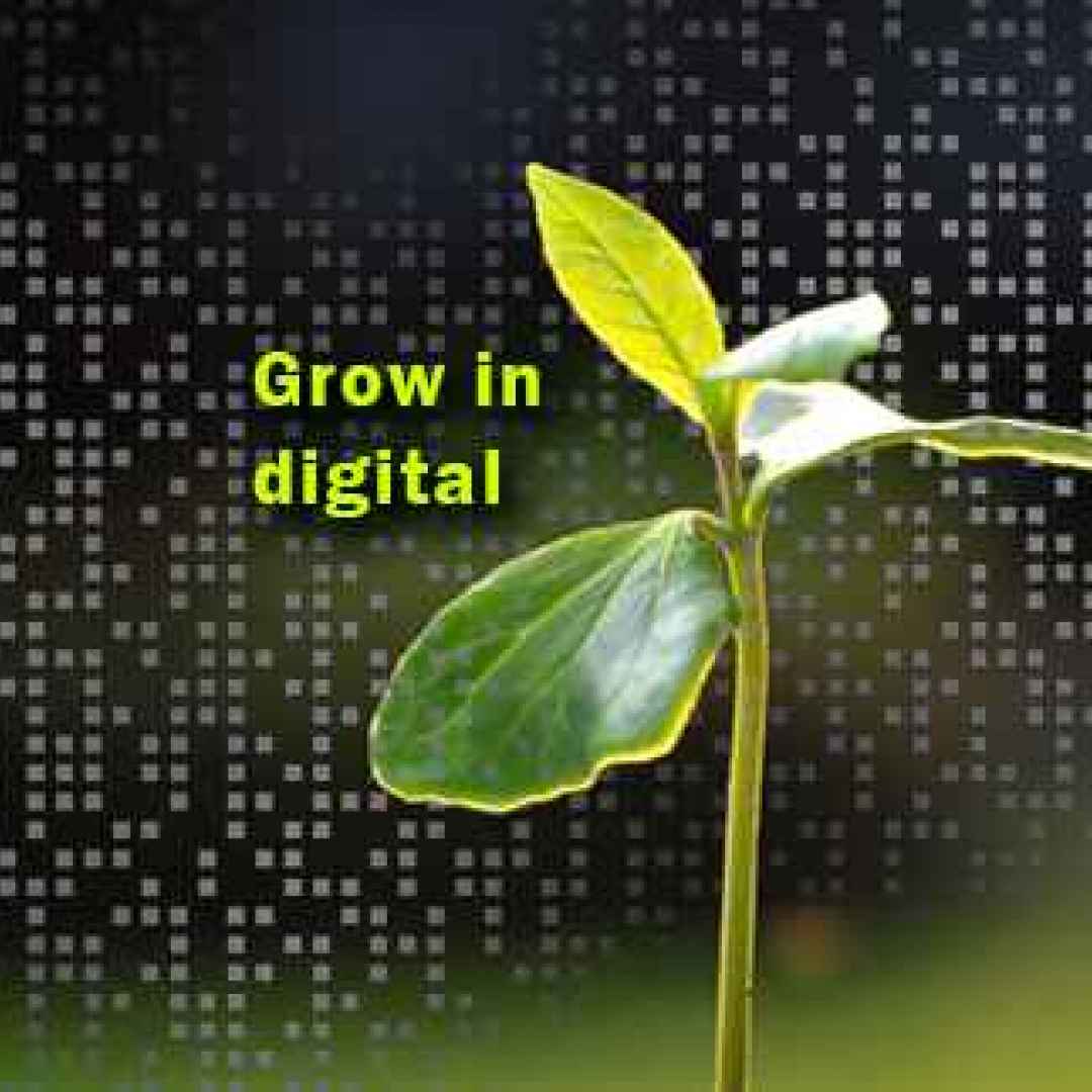 crescere in digitale google tirocini
