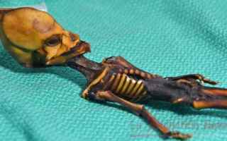 Dopo due decenni è stato svelato il mistero della mummia di Atacama. Era il 2003 quando fu ritrovat