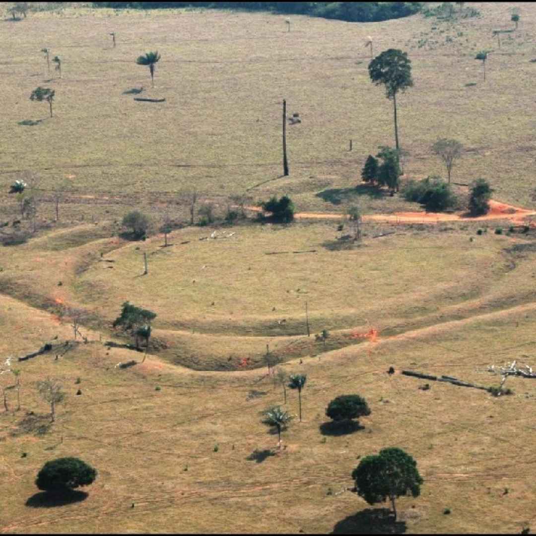 archeologia  brasile  scienza  luoghi