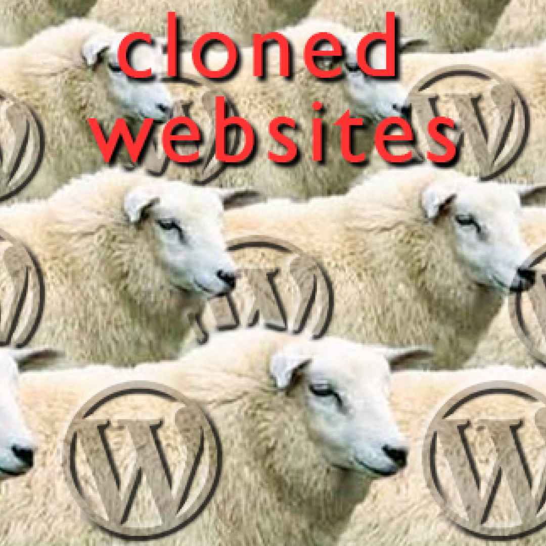 website  clone  wordpress  web design