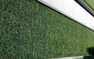 giardinaggio  prato verticale  erba