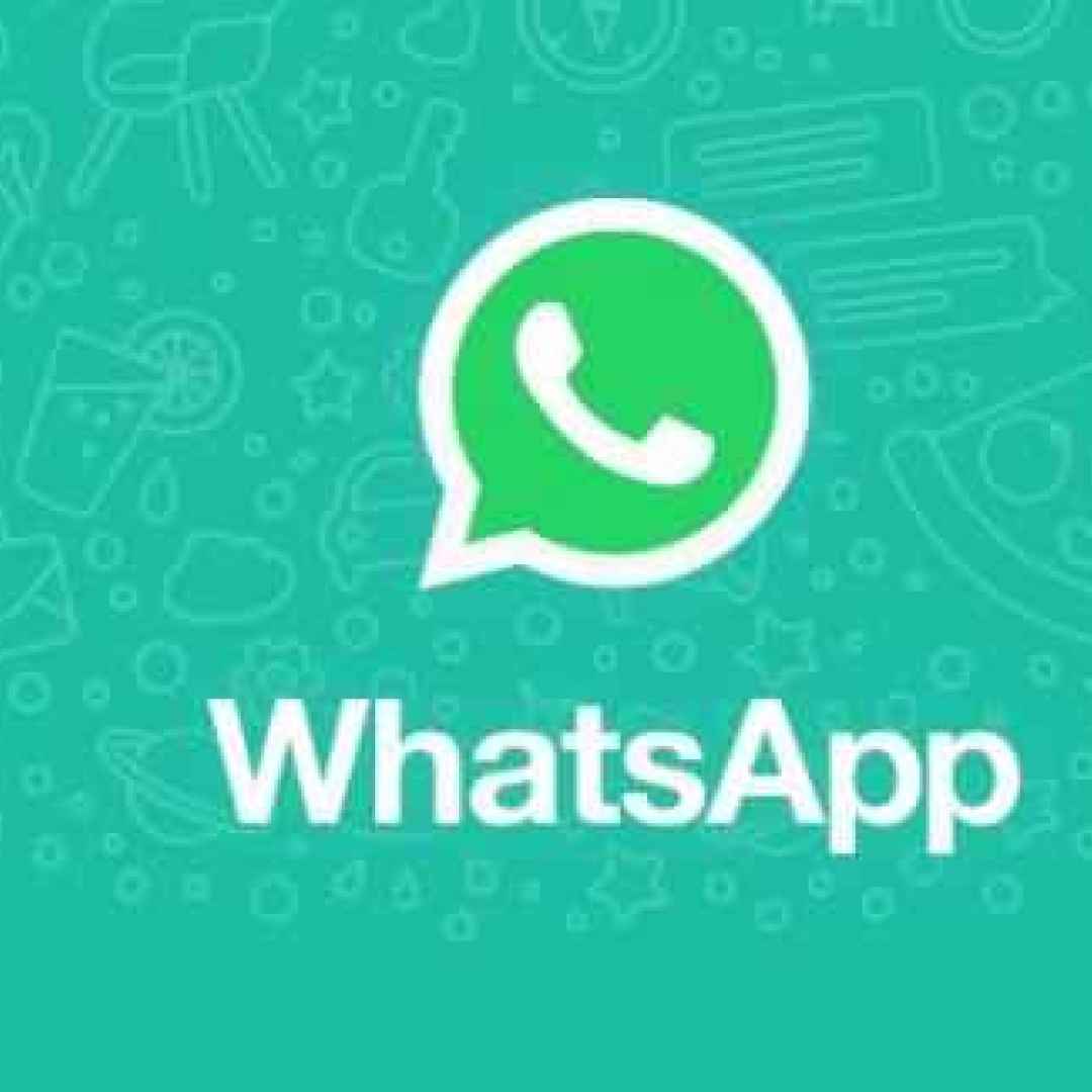 whatsapp  android