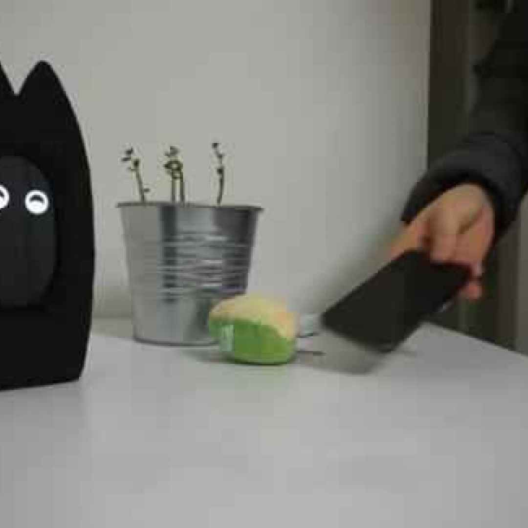 fribo  gatto robot  e-pet  speaker smart
