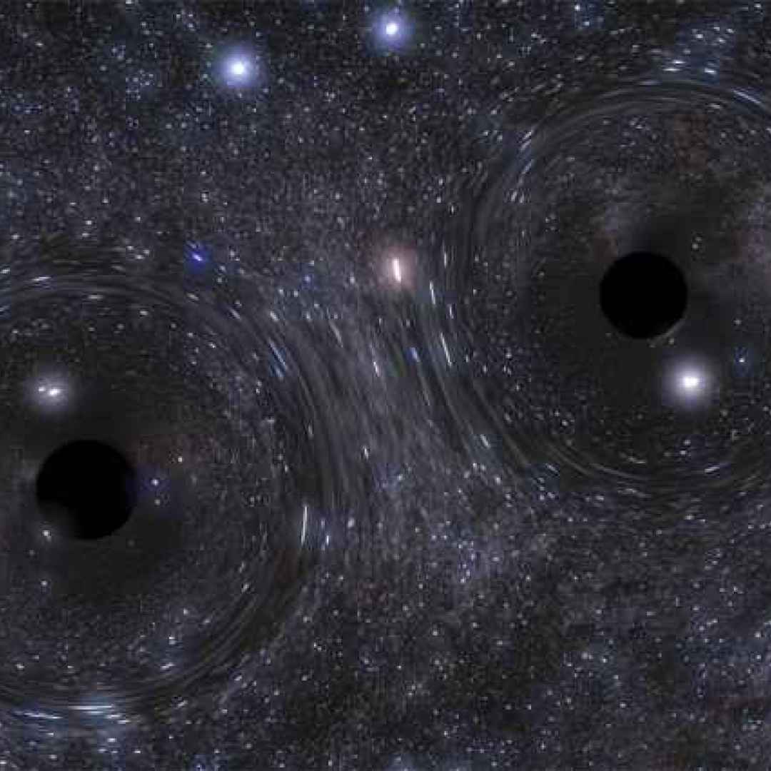 buchi neri  onde gravitazionali