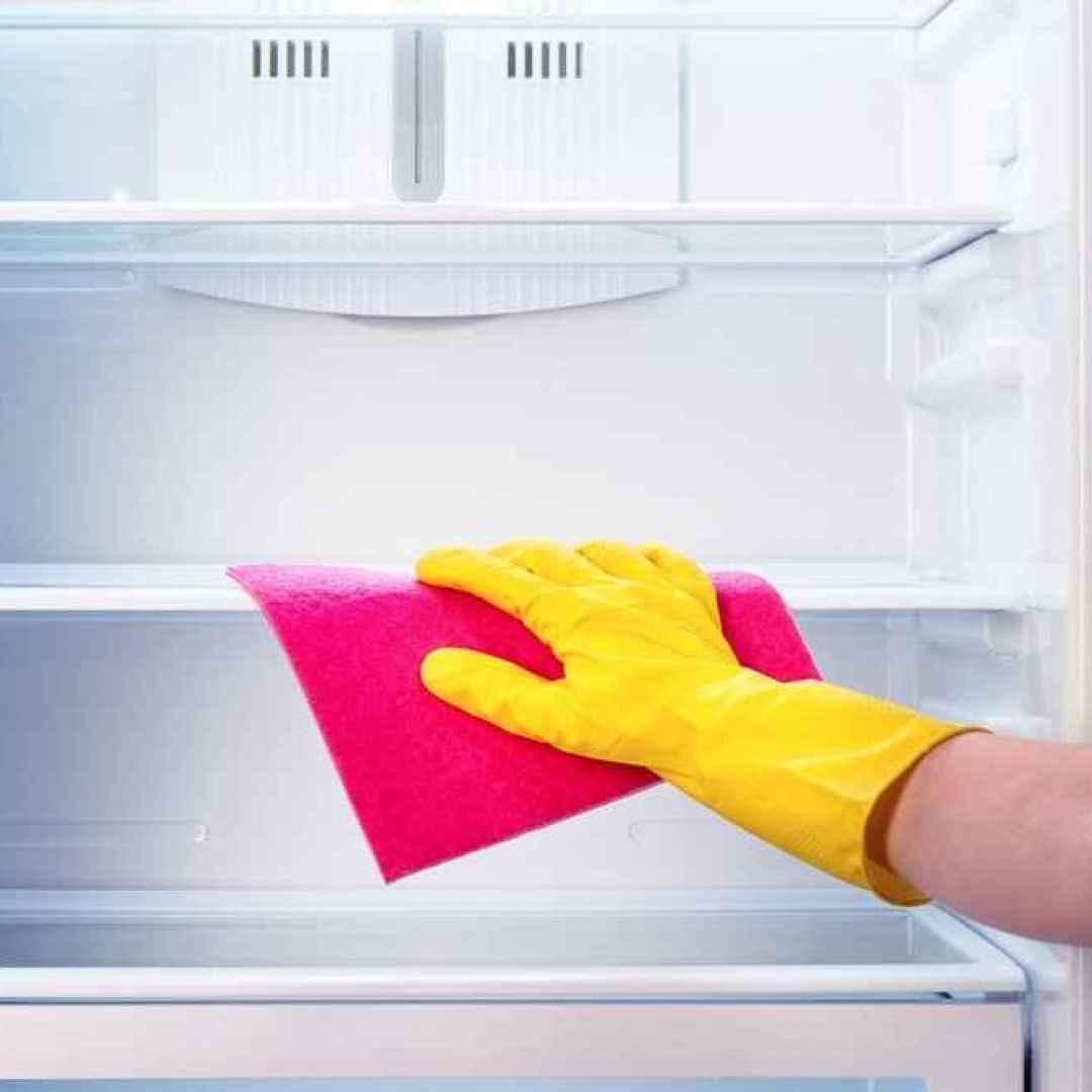 pulizia  igiene  frigorifero  diete