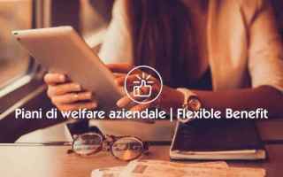 welfare  metalmeccanici  flexible benefi