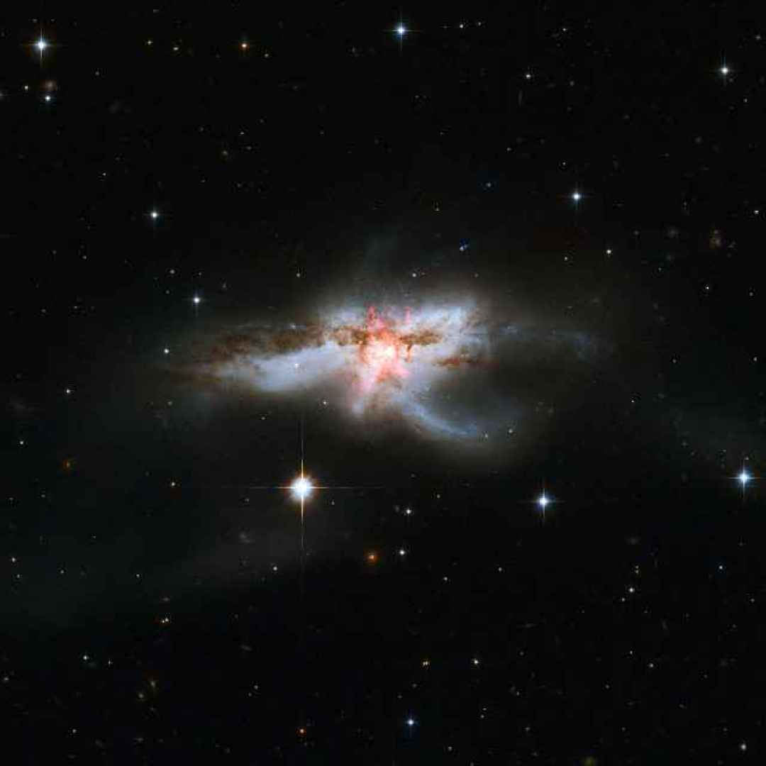 buchi neri supermassicci  galassie