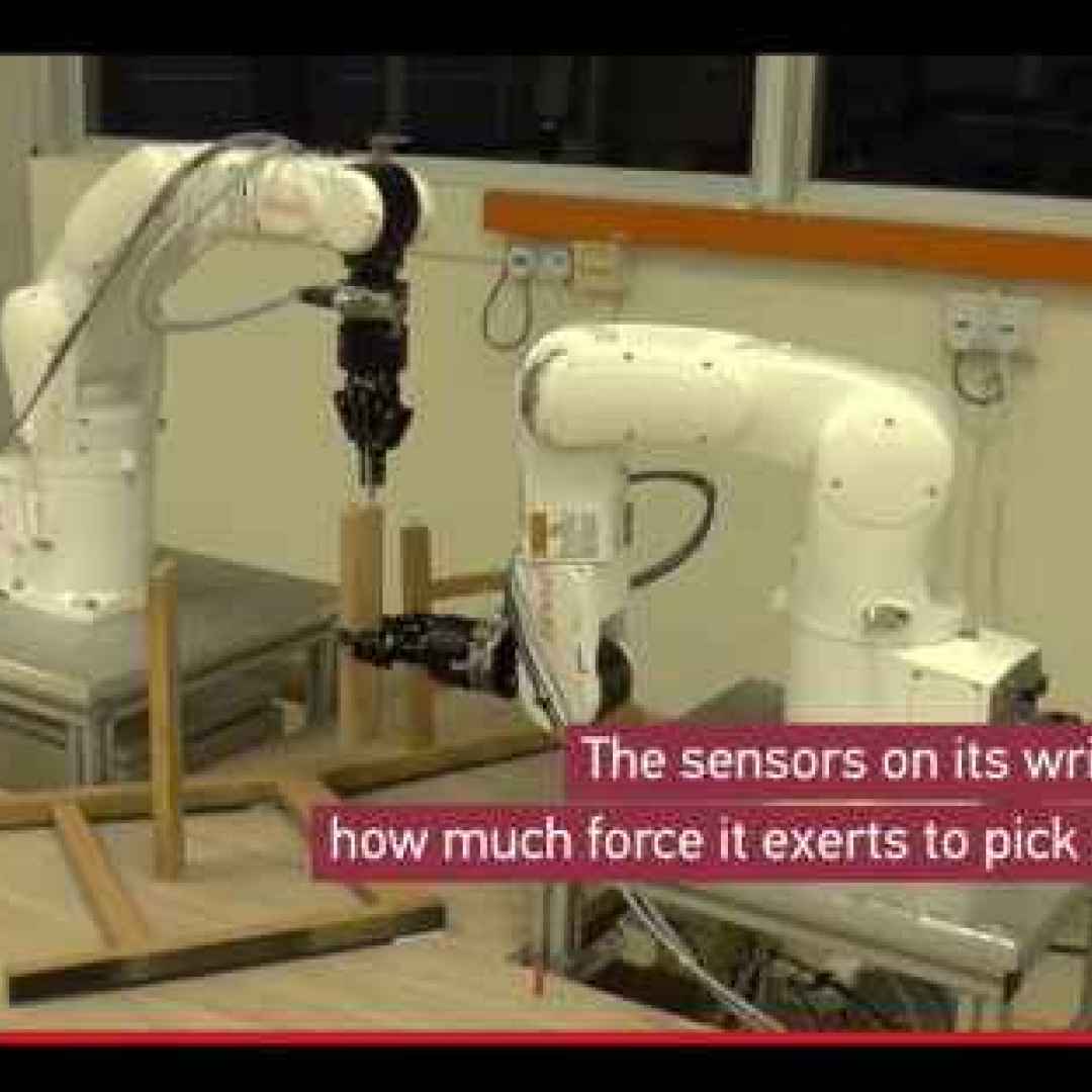 tecnologia  robotica  esperimenti