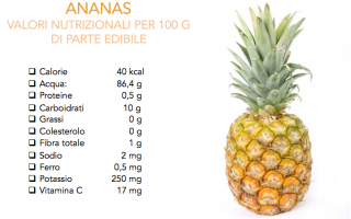 ananas  frutta esotica  grassi  dieta