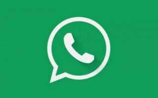 WhatsApp: whatsapp  android  windows mobile