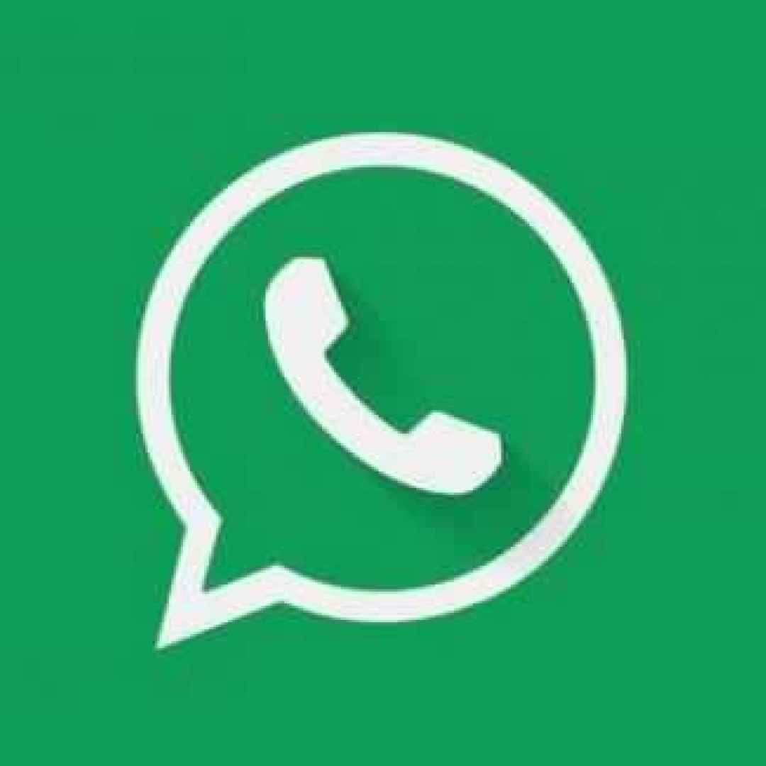 whatsapp  android  windows mobile