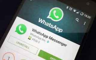 WhatsApp: whatsapp  minori  tecnologia