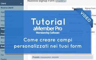 Webmaster: amember  membership website