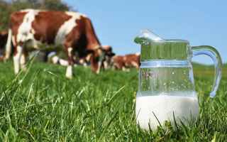 Alimentazione: lattosio  intolleranza  latte