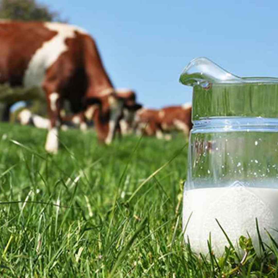 lattosio  intolleranza  latte