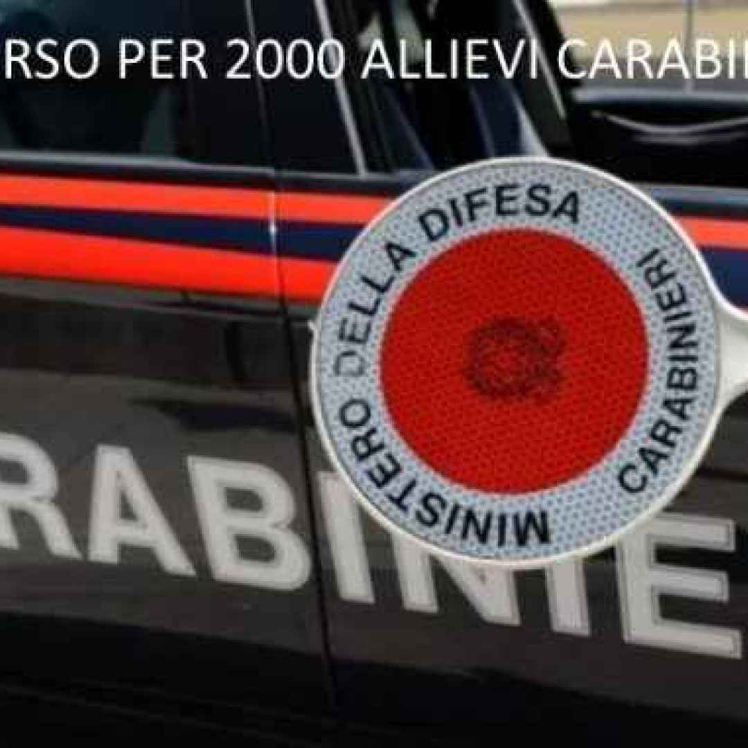 carabinieri  concorsi  bandi  p.a