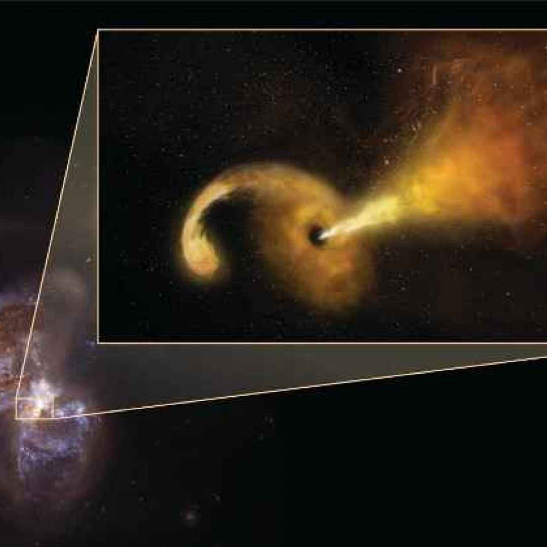 buchi neri supermassicci  galassie  stel