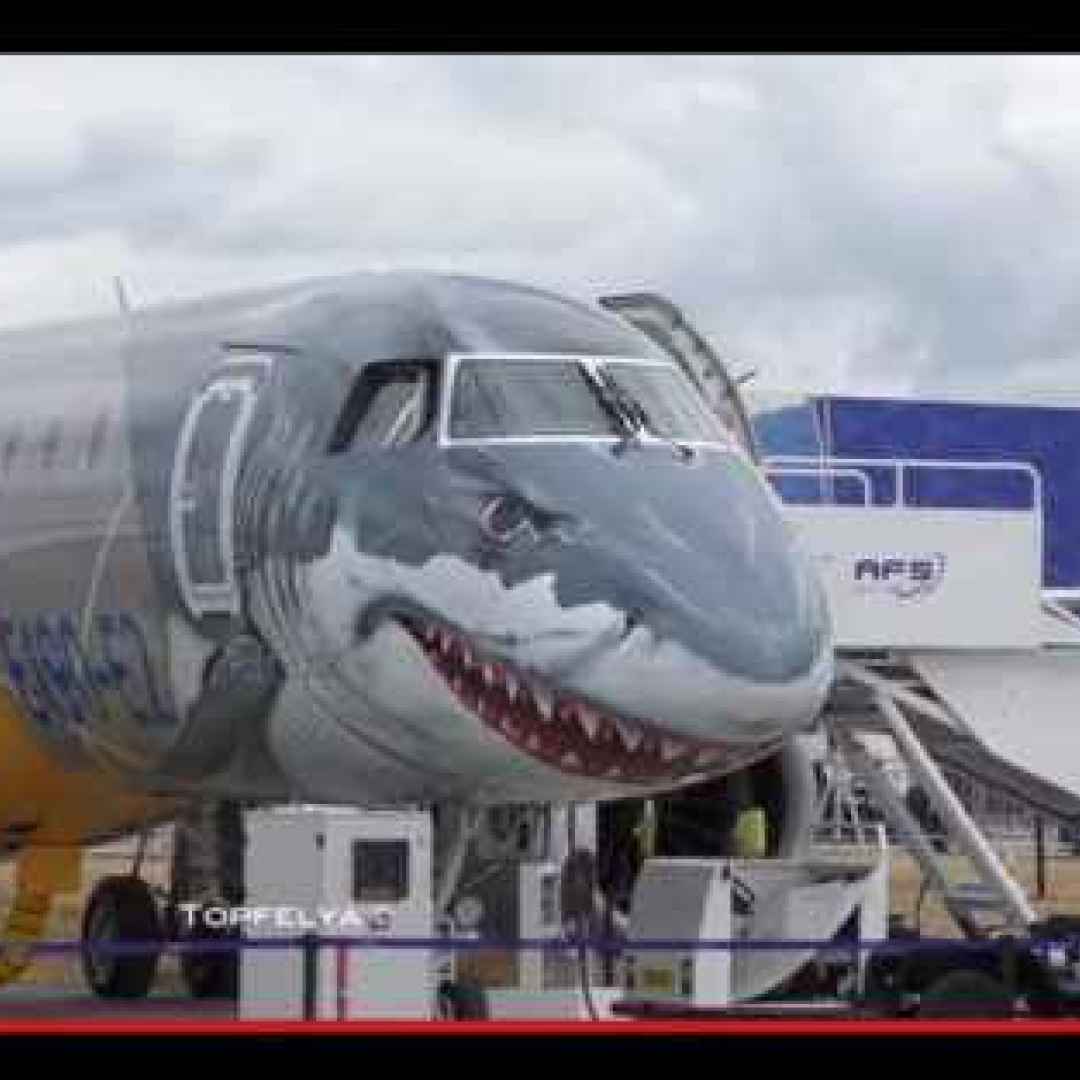 aerei  aviazione  arte  animali  squalo