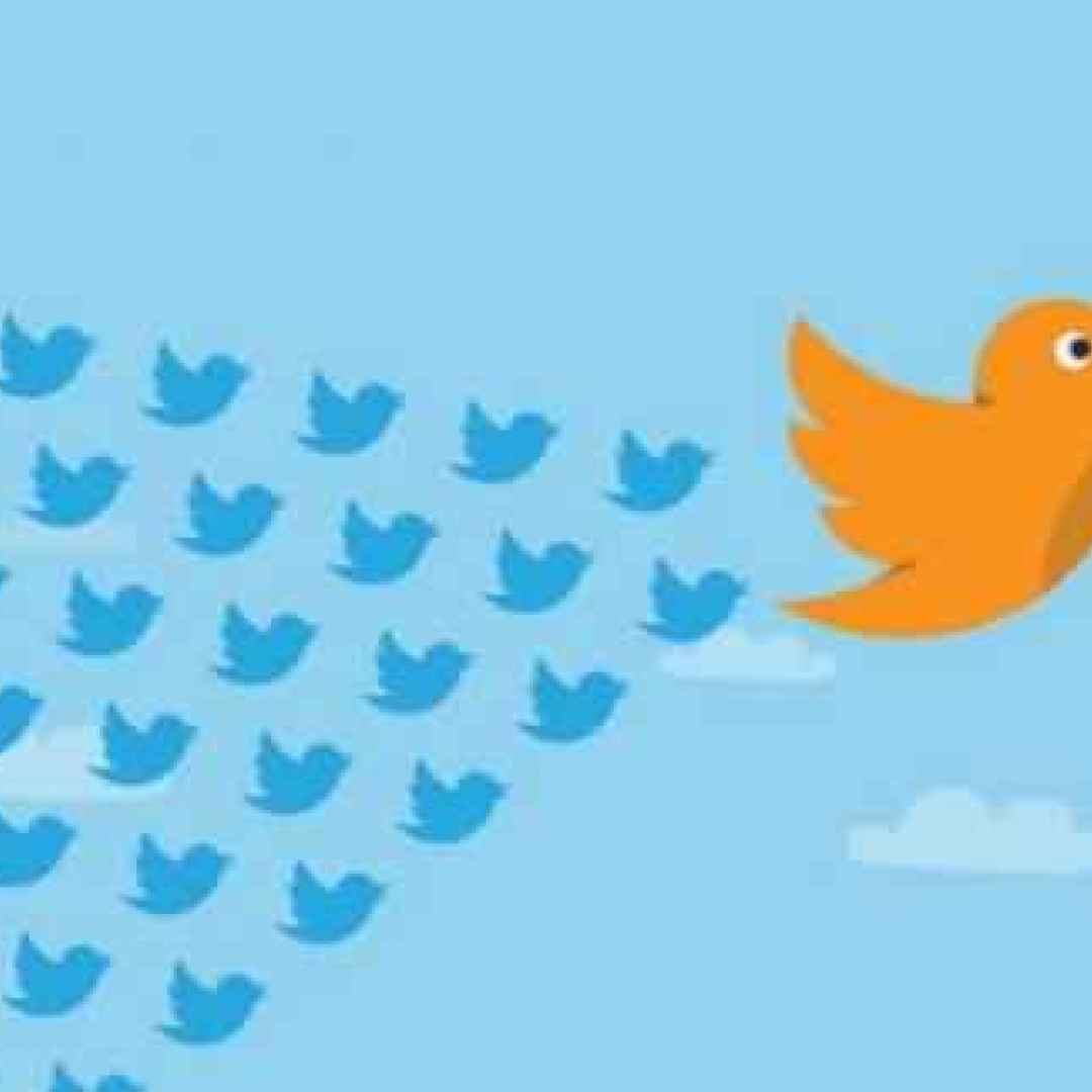 Twitter: curiosi repulisti, polemiche in India, nuovi test estetici e feature