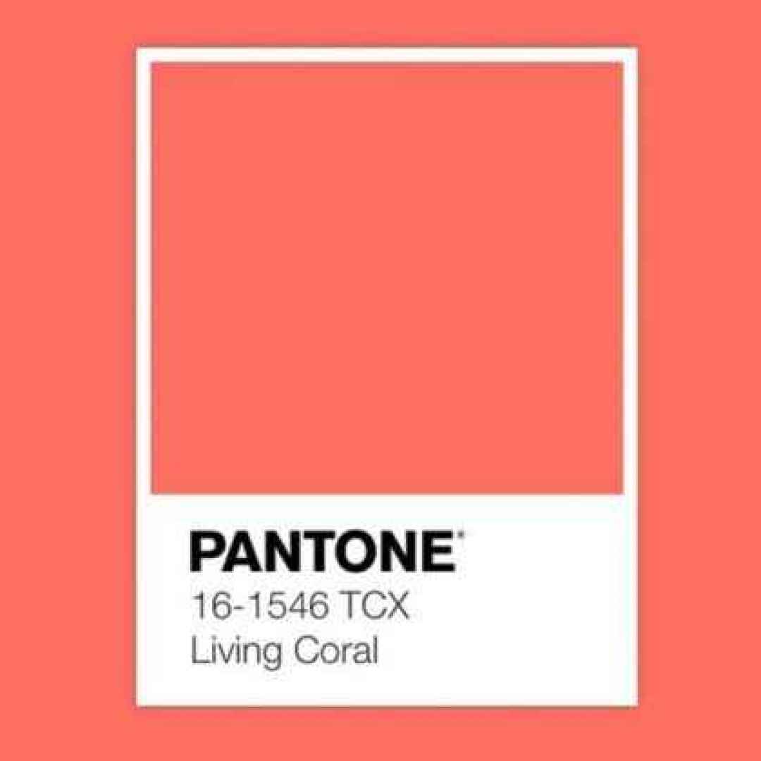 pantone 2019  pantone living coral
